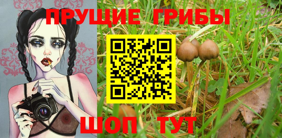 Галлюциногенные грибы Magic Shrooms Боровичи