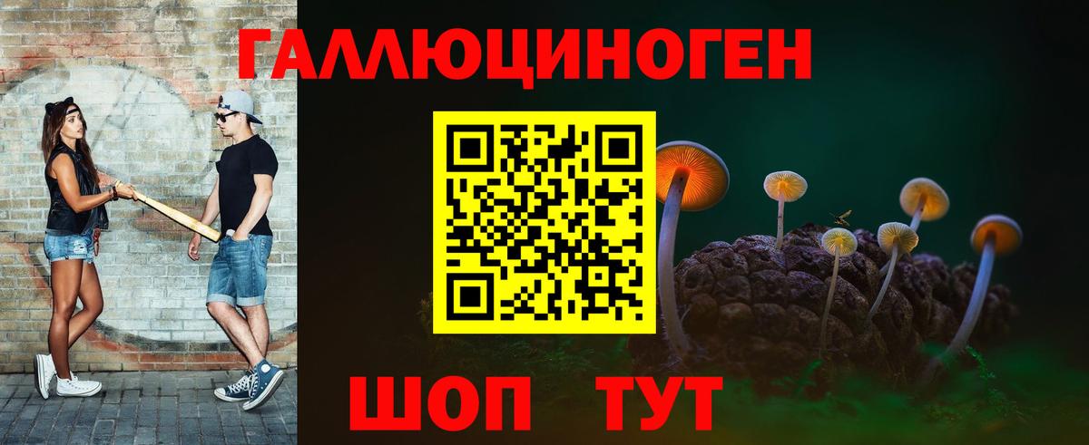 Псилоцибиновые грибы Psilocybine cubensis  Вход с VPN  Боровичи 